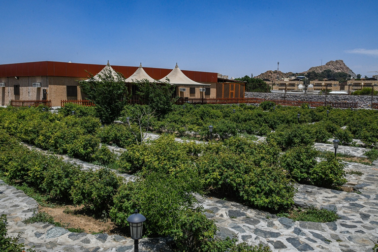 De Djeddah: visite des points forts et des montagnes de Taif avec transfert