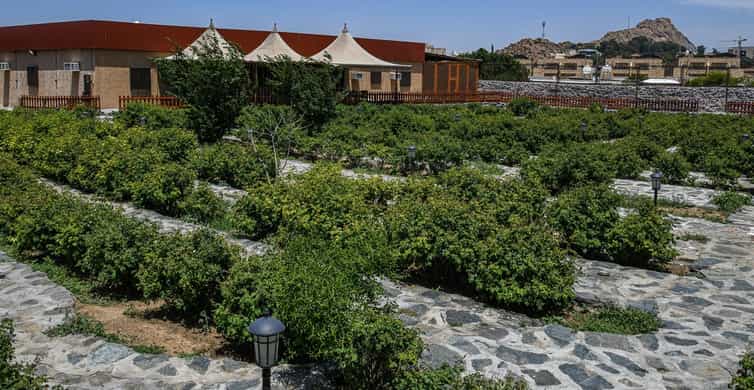 From Jeddah: Taif Exploration Tour with Lunch photo 9