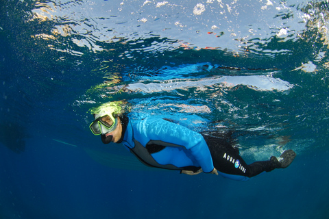 Calvi : Tour en bateau pour la plongée en apnée à la Pointe de la RevellataCalvi : sortie snorkeling à la pointe de la Revellata