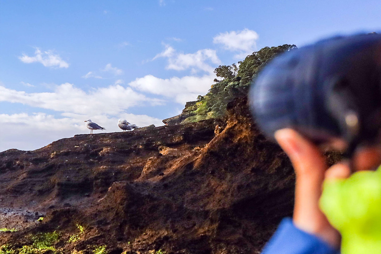 Vila Franca do Campo: Islet Reserve Boat & Walking Tour