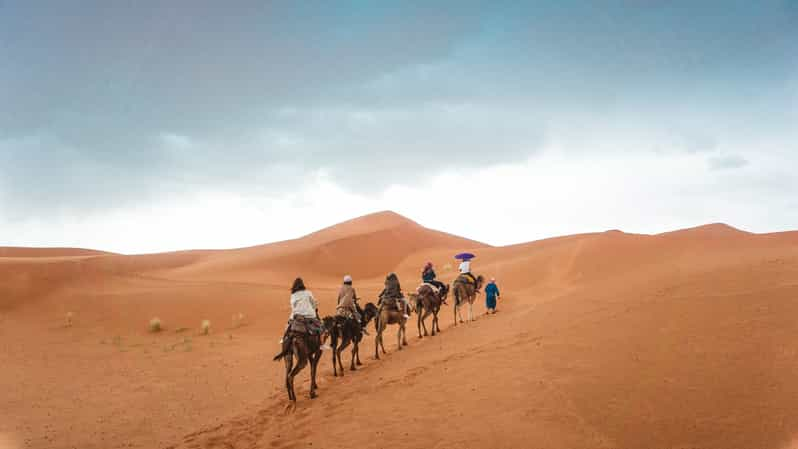 jeddah desert safari price