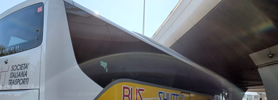 Rom: Busstransfer från eller till Fiumicino flygplats (FCO)