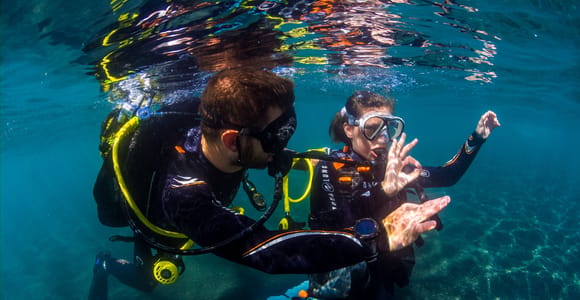 Santa Cruz de Tenerife: Beginner&#39;s Diving & Introduction