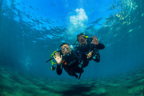 Santa Cruz de Tenerife: Buceo para principiantes e introducción