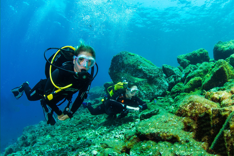 Santa Cruz de Tenerife: SSI Open Water Diver Course