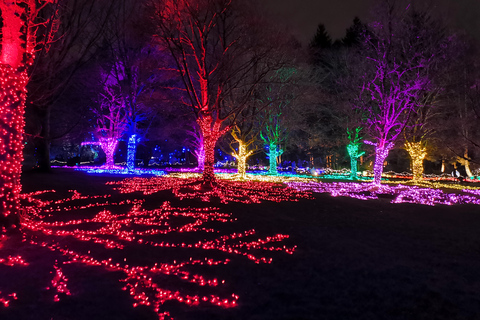 Vancouver: Excursão de Natal com entrada para o Light Festival