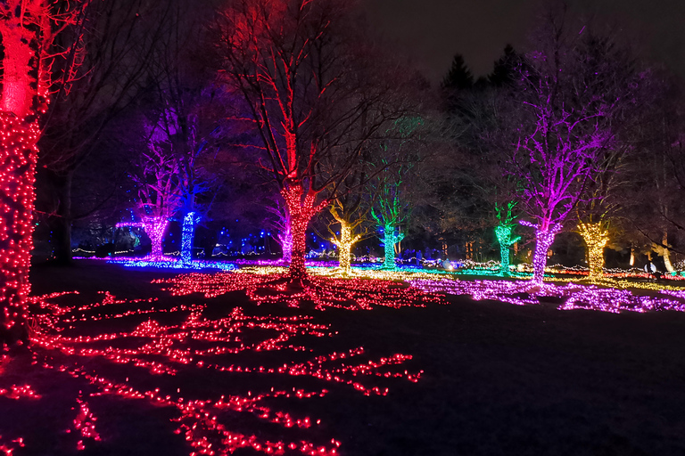 Vancouver: Christmas Tour with Light Festival Entrance