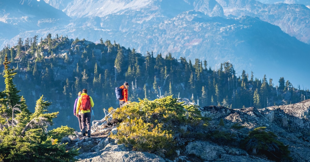 Whistler: Guided Wilderness Hike | GetYourGuide