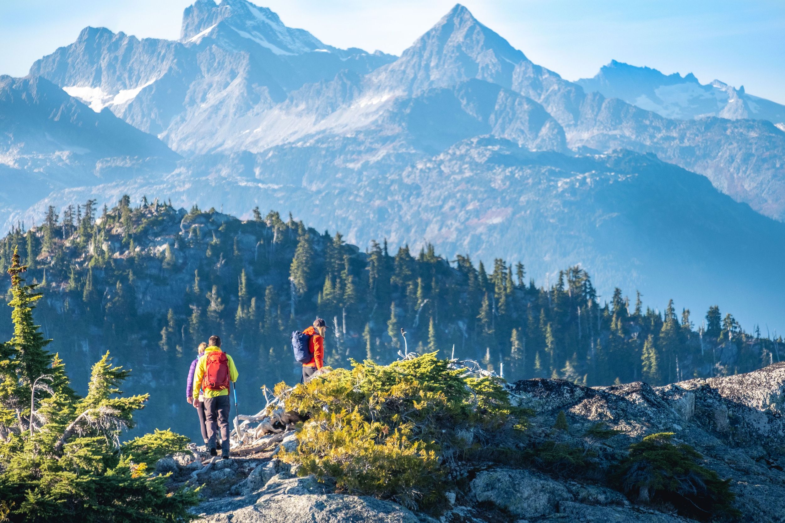 Whistler: Geführte Wildnis-Wanderung