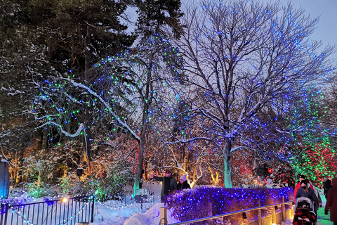 Vancouver: Christmas Tour med inträde till ljusfestivalen