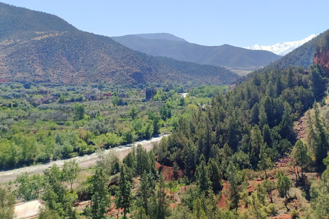 Excursão Vale de Ourika, vilarejos berberes, montanhas do AtlasDe Marrakech: viagem de um dia ao vale de Ourika e às montanhas do Atlas