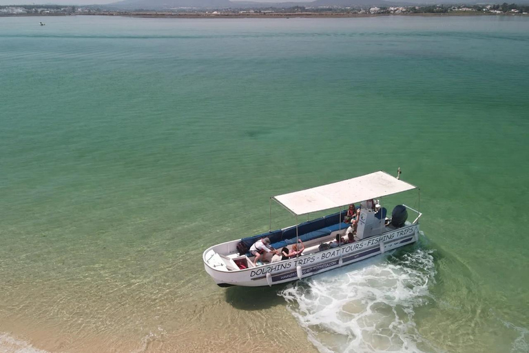 Algarve: Open Jeep Adventure, Flamingos & Ria Formosa Trip