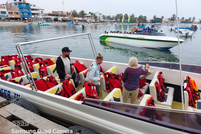 From Paracas: Scenic Boat Tour to Ballestas Island