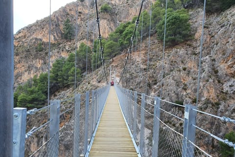 From Málaga: Camino del Saltillo Full-Day Tour