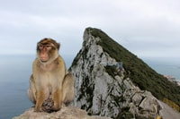 Van Málaga, Gibraltar winkelen de hele dag tour - Housity