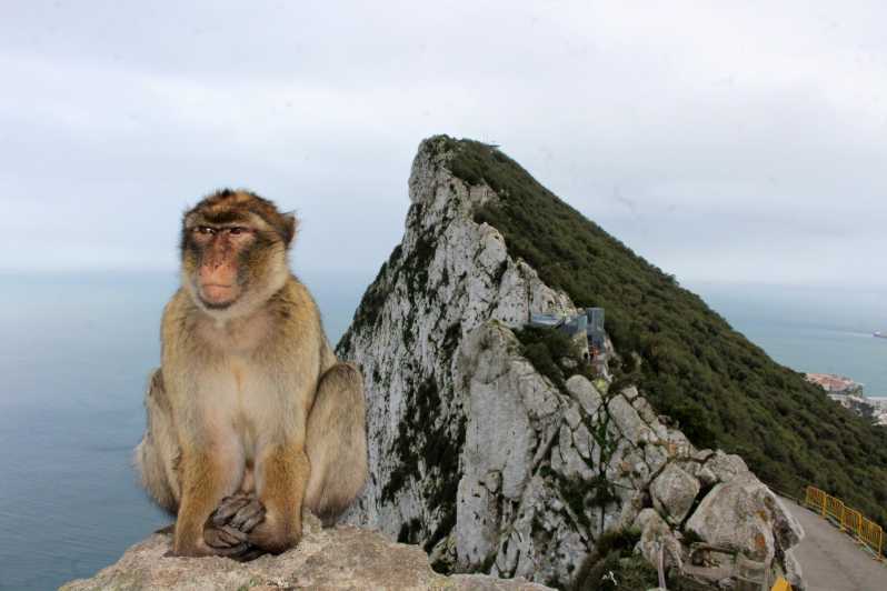 Da Malaga: Tour di una giornata intera della Rocca e delle Grotte di Gibilterra