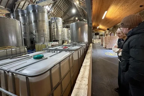From Brighton: Denbies Vineyard Wine Tour and Tasting