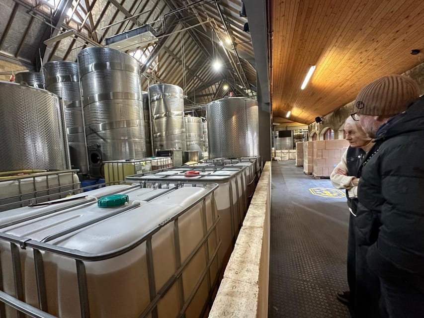 Denbies tour and tasting from Brighton