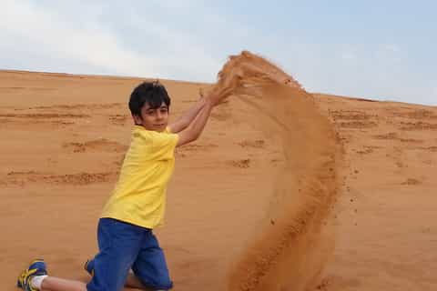 Dubai: Red Dune Safari, Camel Ride, Sandboarding, and Dinner