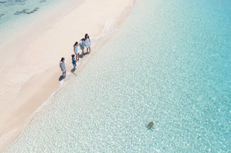 Airlie Beach Whitehaven Full Day Eco Cruise With Lunch Getyourguide