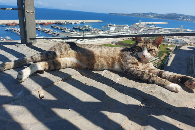 Tangier: Privat rundtur till stadens alla höjdpunkterTangier: Privat rundtur av stadens alla höjdpunkter