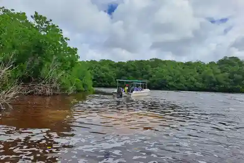 Merida: Celestun Biosphere Reserve Private Tour