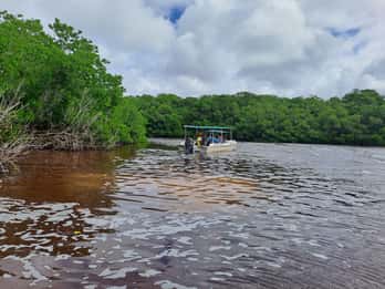 Mérida: Tour Privado Reserva de la Biosfera de Celestún
