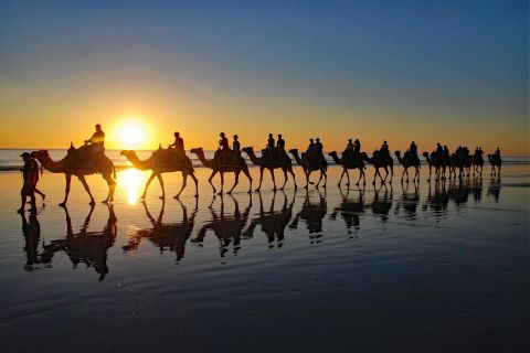 Agadir: Camel Ride Beach Tour Experience