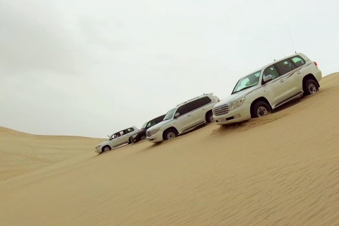 Doha : forfait Safari de 5 h dans le désert
