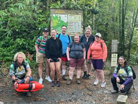 Bosque El Yunque, Selva Natural Paseo por la Noche - Hizvo