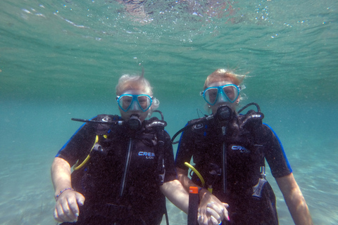 Santorini: Experiencia de submarinismo en la Caldera VolcánicaBuceo