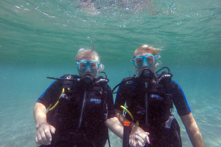 Santorini: Experiencia de submarinismo en la Caldera VolcánicaBuceo