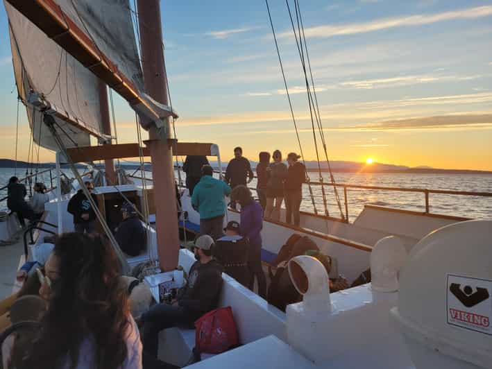 sunset sailboat cruise seattle