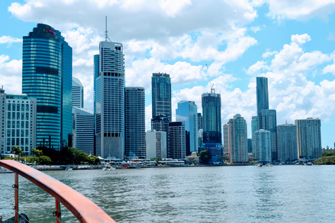 Brisbane : Croisière touristique de l&#039;après-midi sur la rivière Brisbane