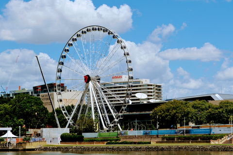 Brisbane: Cruzeiro Turístico à Tarde no Rio Brisbane