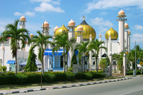 Da Kuala Lumpur: tour storico di un&#039;intera giornata di Malacca