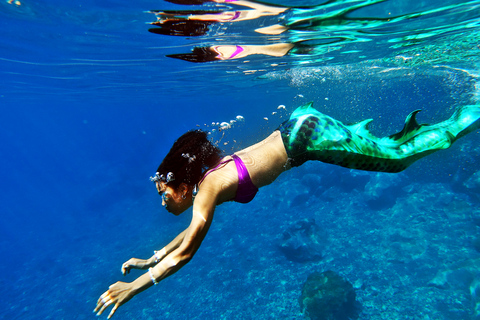 Santa Cruz de Tenerife : expérience de sirène et séance photo