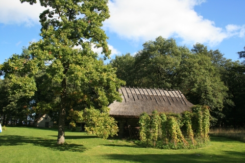 Tallin: visita al museo al aire libre de Estonia Rocca al MareOpción estándar