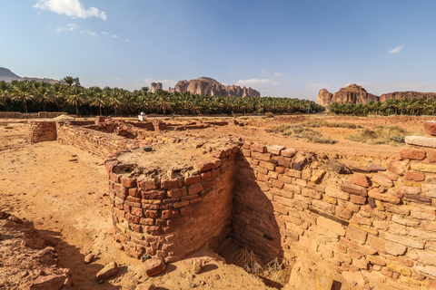 Al-Ula: Dadan & Jabal Ikmah Geführte Tour mit optionaler AbholungHalbtägige Dadan & Jabal Ikmah Tour - Mit Hotelabholung