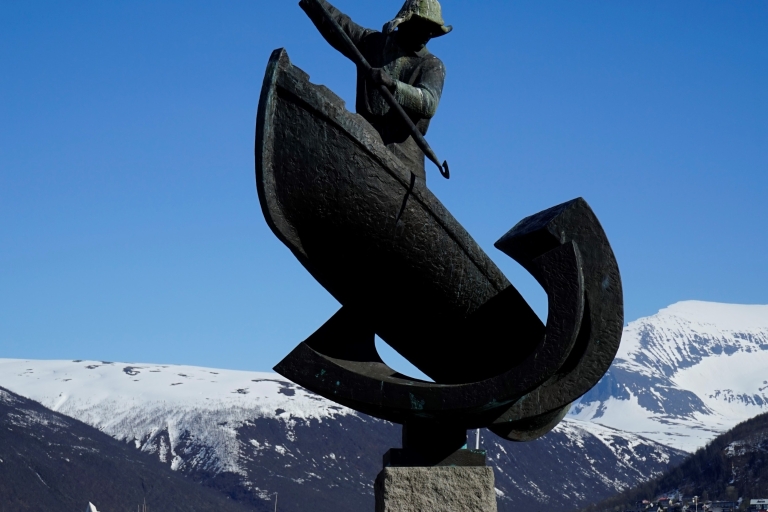 Tromsø: Arctic Exploration Historic Private Walking Tour