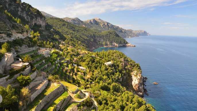 Mallorca: Sea and Mountain Full-Day Tour