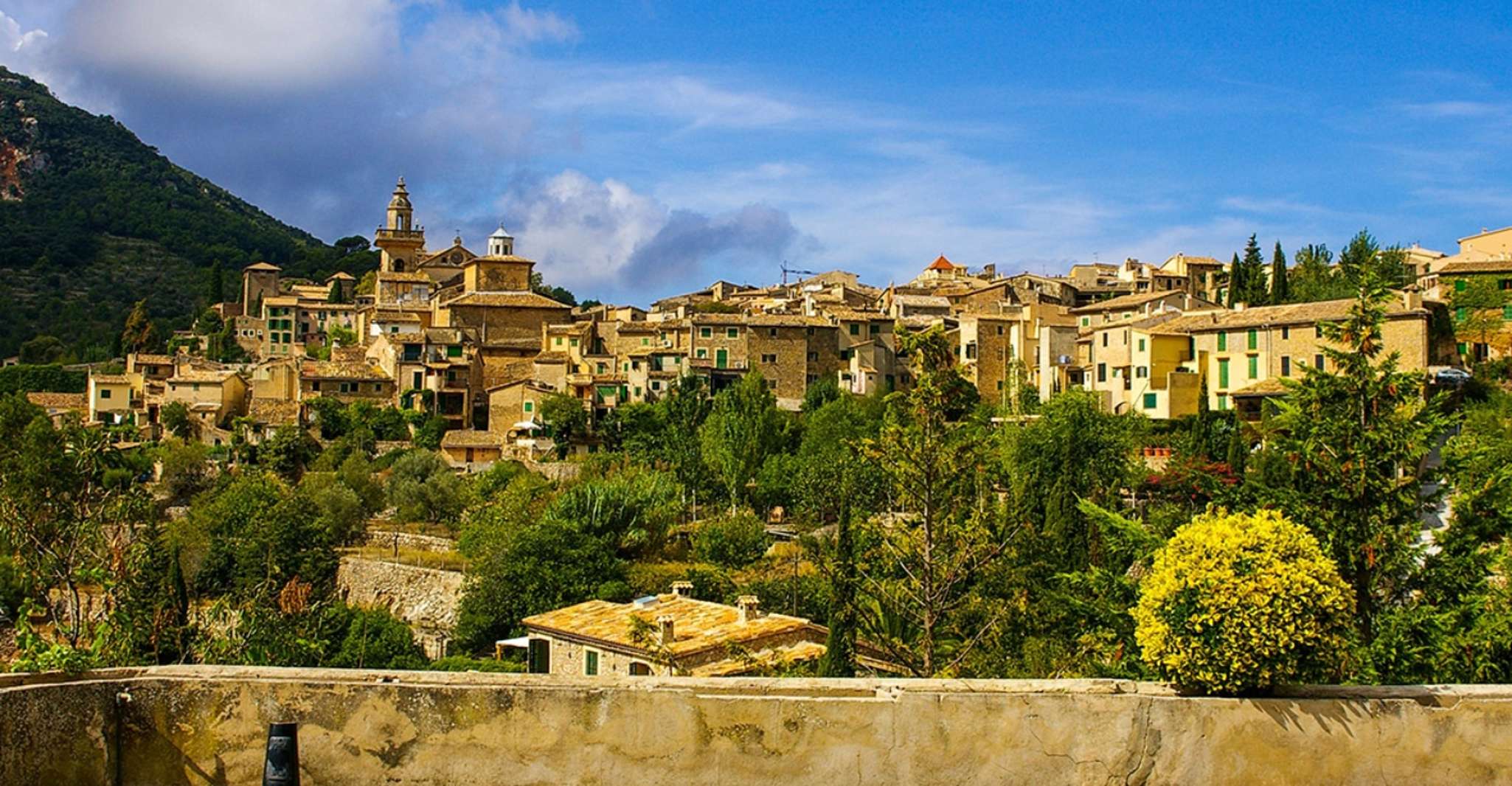 Mallorca, Valldemossa & Soller Tour - Housity