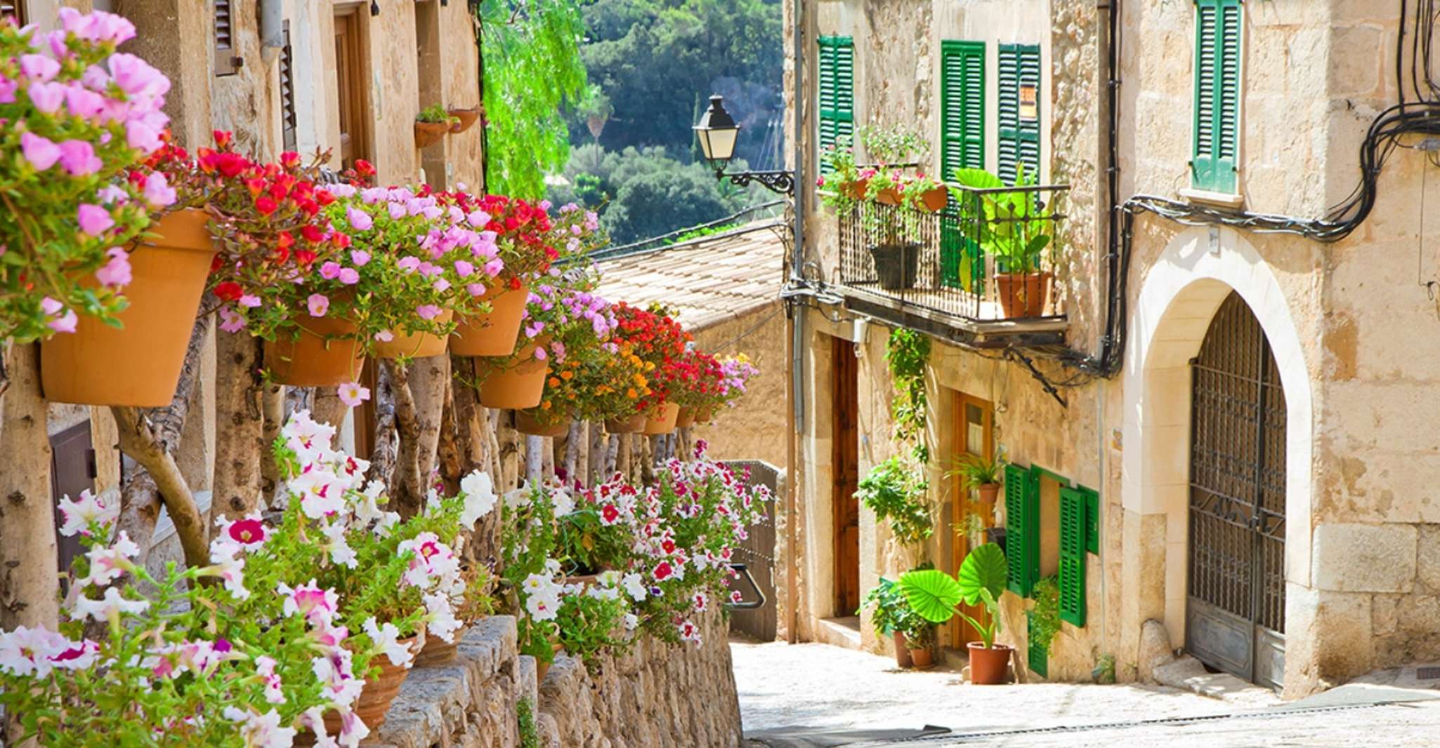 Mallorca, Valldemossa & Soller Tour - Housity
