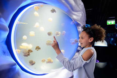 Londen: combiticket Madame Tussauds, London Eye en SEA LIFE