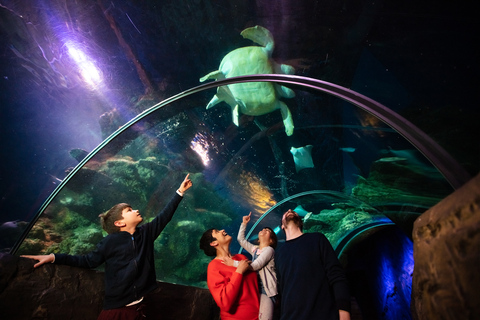 Londen: combiticket Madame Tussauds, London Eye en SEA LIFE