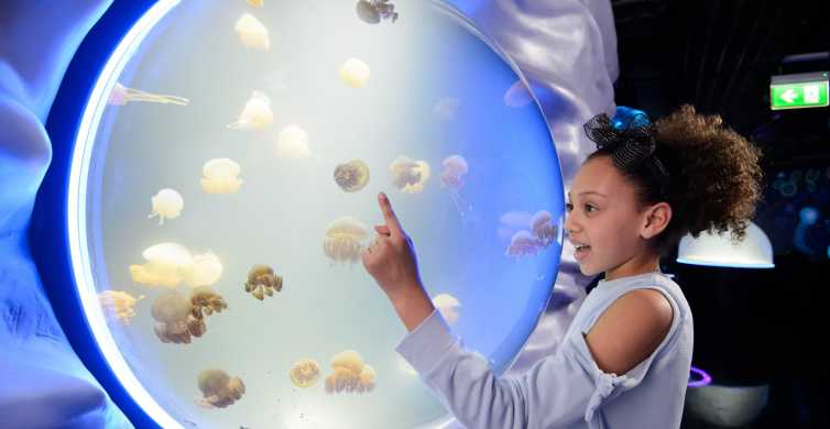 Londres : billet d'entrée pour l'aquarium SEA LIFE