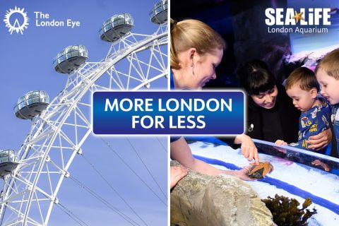 Лондон: билет на посещение Sea Life и London Eye