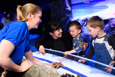 Londres: billet combiné SEA LIFE et London Eye