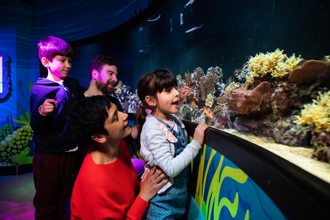 Londyn: SEA LIFE i London Eye – bilet łączony