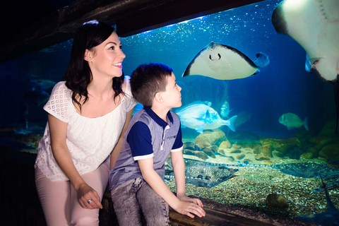 Londen: SEA LIFE & London Eye combiticket